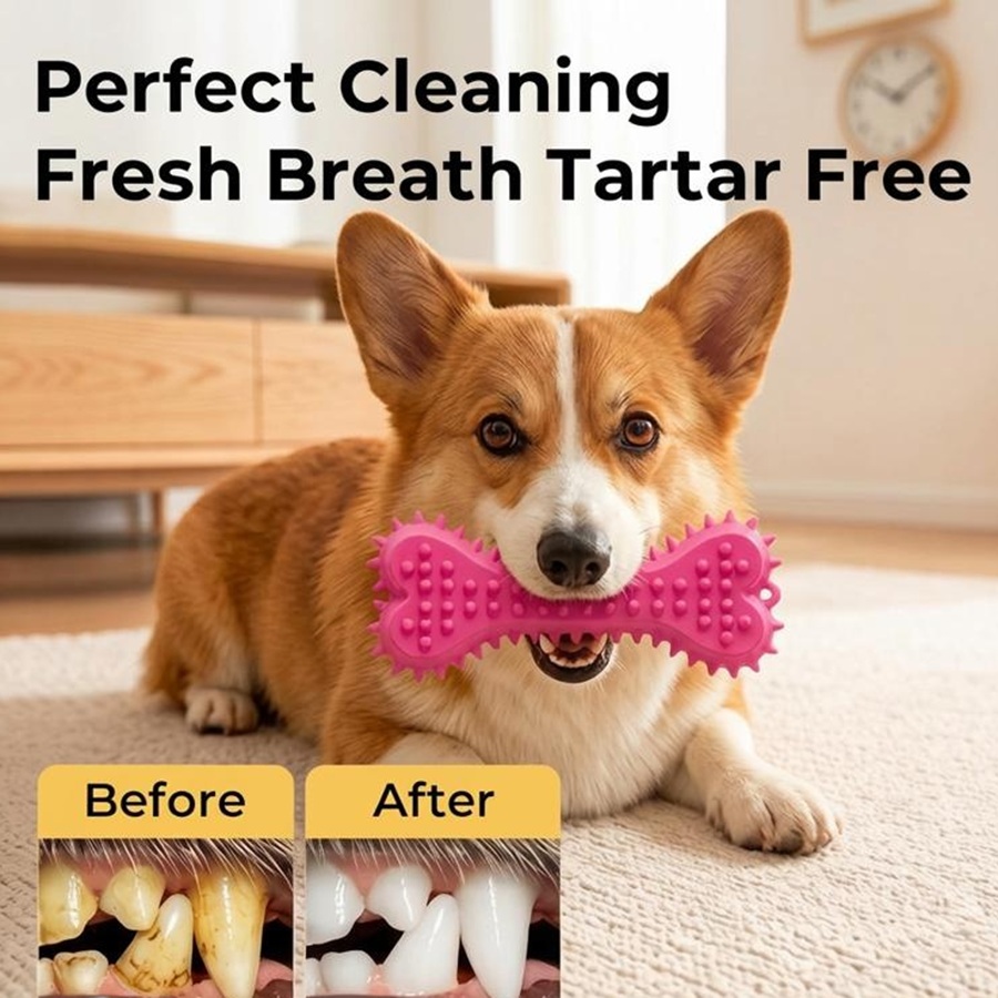 Teeth Cleaning Dog Chew Bone - ของเล่นสำหรับสุนัข 3/6 ชิ้น แปรงสีฟันยางสำหรับสุนัข ของเล่นเคี้ยวรูปกระดูกสำหรับสัตว์เลี้ยง ของเล่นเคี้ยวทำความสะอาดฟัน