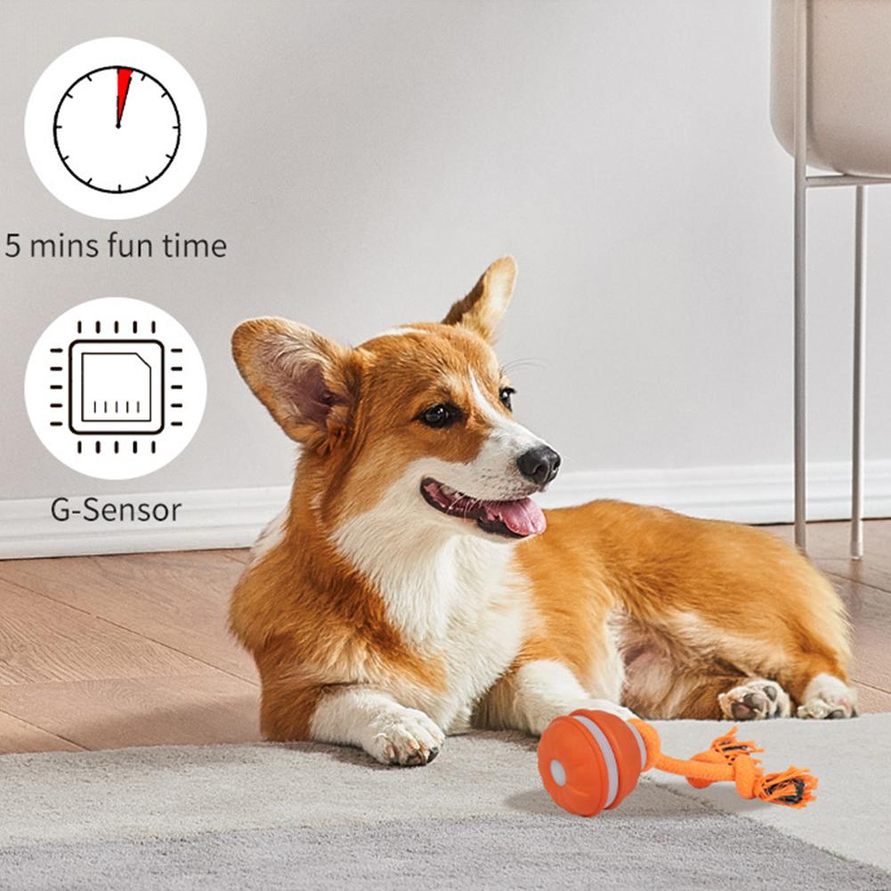 ลูกบอลสำหรับสัตว์เลี้ยงสำหรับส - Automatic Moving Dog Ball บทวิจารณ์และราคา