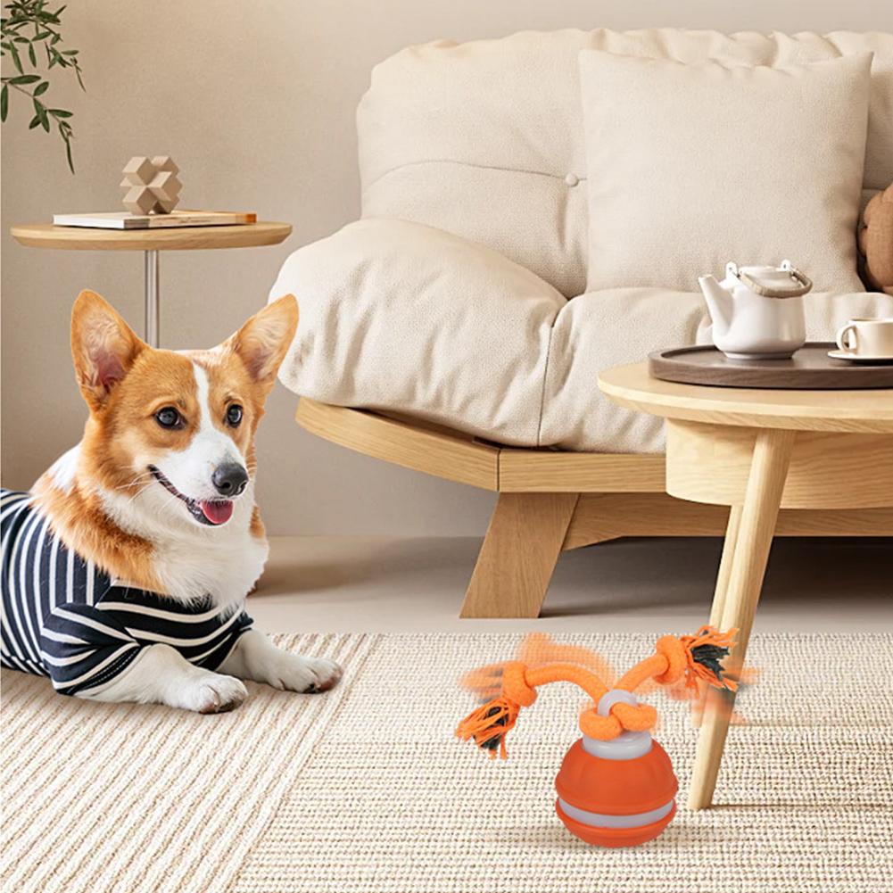 ลูกบอลสำหรับสัตว์เลี้ยงสำหรับส - Automatic Moving Dog Ball บทวิจารณ์และราคา