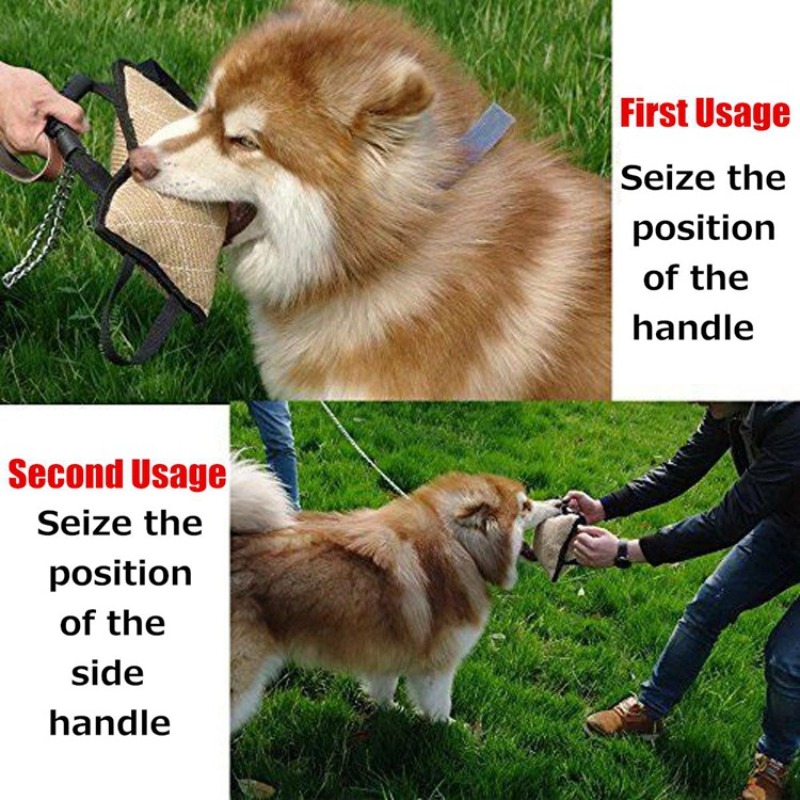 ของเล่นฝึกสุนัขแบบทนทาน พร้อมท - Interactive Squeaky Plush Dog Toy บทวิจารณ์และราคา