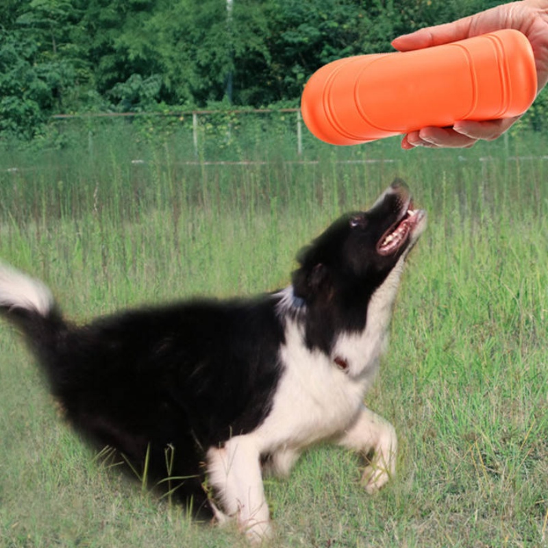จานร่อนยางนิ่มสำหรับสุนัข ทนทา - Flying Disc Dog Training Toy บทวิจารณ์และราคา