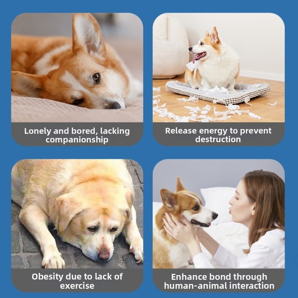 ลูกบอลอัจฉริยะสำหรับสัตว์เลี้ย - Automatic Moving Dog Ball บทวิจารณ์และราคา