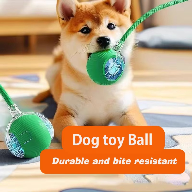 ของเล่นลูกบอลแบบโต้ตอบสำหรับสุ - Interactive Squeaky Plush Dog Toy บทวิจารณ์และราคา