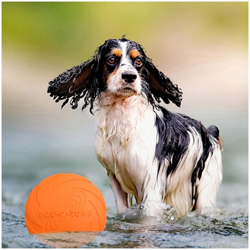 ของเล่นจานบินซิลิโคนแบบโต้ตอบไ - Flying Disc Dog Training Toy บทวิจารณ์และราคา