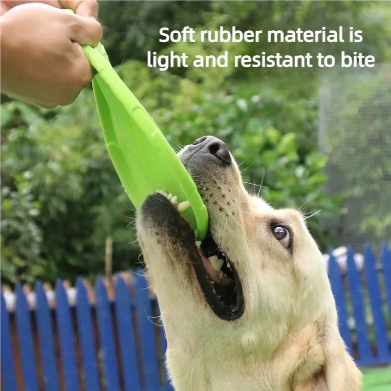 ของเล่นจานบินซิลิโคนแบบโต้ตอบไ - Flying Disc Dog Training Toy บทวิจารณ์และราคา