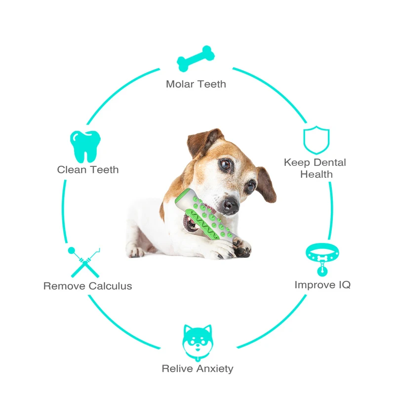 ของเล่นสำหรับสุนัขกัดแทะ แปรงส - Indestructible Dog Chew Toy บทวิจารณ์และราคา