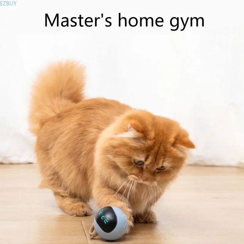 ของเล่นลูกบอลแมวแบบอินเทอร์แอค - Automatic Moving Dog Ball บทวิจารณ์และราคา