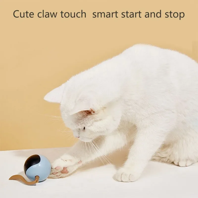 ของเล่นลูกบอลแมวแบบอินเทอร์แอค - Automatic Moving Dog Ball บทวิจารณ์และราคา
