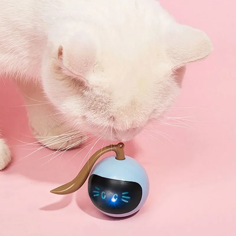 ของเล่นลูกบอลแมวแบบอินเทอร์แอค - Automatic Moving Dog Ball บทวิจารณ์และราคา