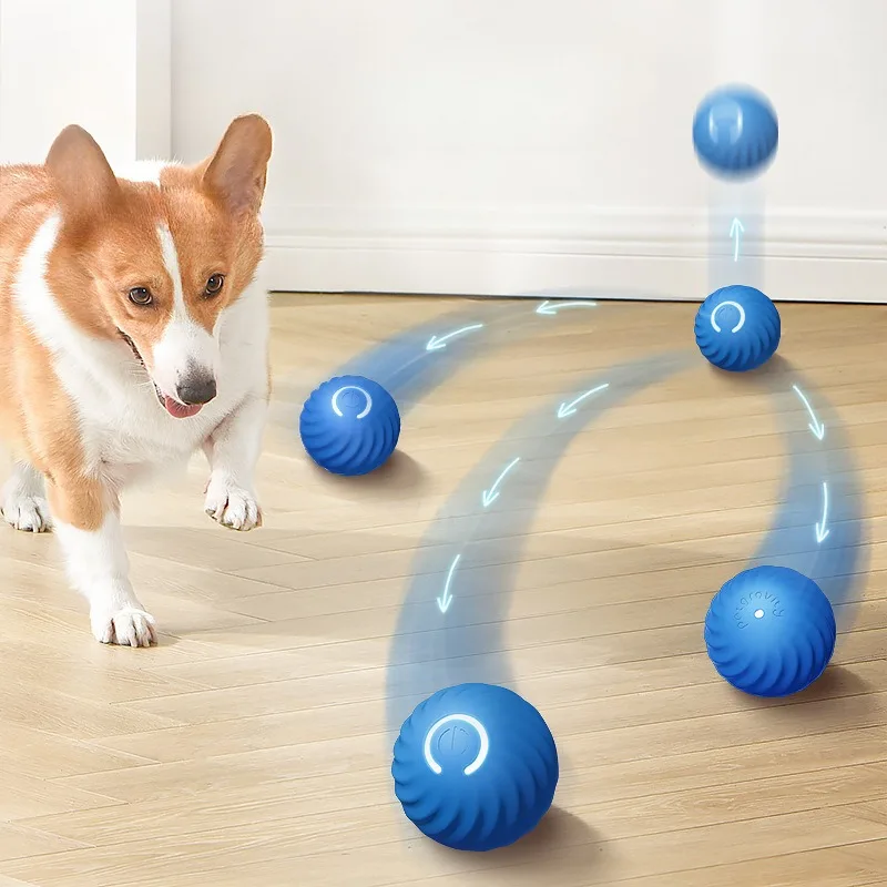ลูกบอลของเล่นสัตว์เลี้ยง SS ลู - Automatic Moving Dog Ball บทวิจารณ์และราคา