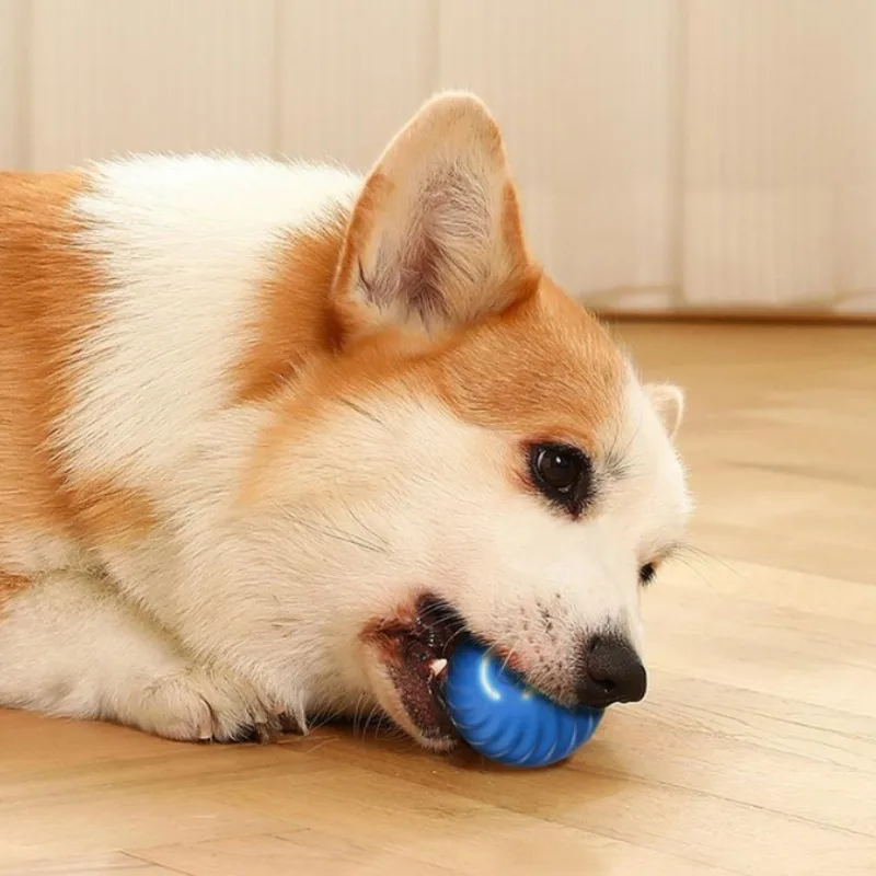ลูกบอลของเล่นสัตว์เลี้ยง SS ลู - Automatic Moving Dog Ball บทวิจารณ์และราคา