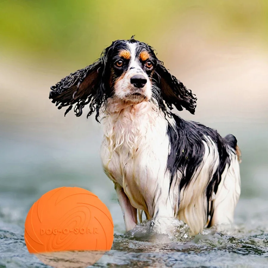 จานร่อนสำหรับสุนัขขนาดใหญ่ ขนส - Flying Disc Dog Training Toy บทวิจารณ์และราคา