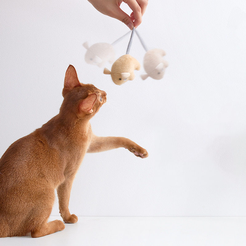ของเล่นหนูแคทนิปสำหรับแมว ของเ - Catnip Interactive Plush Mouse บทวิจารณ์และราคา