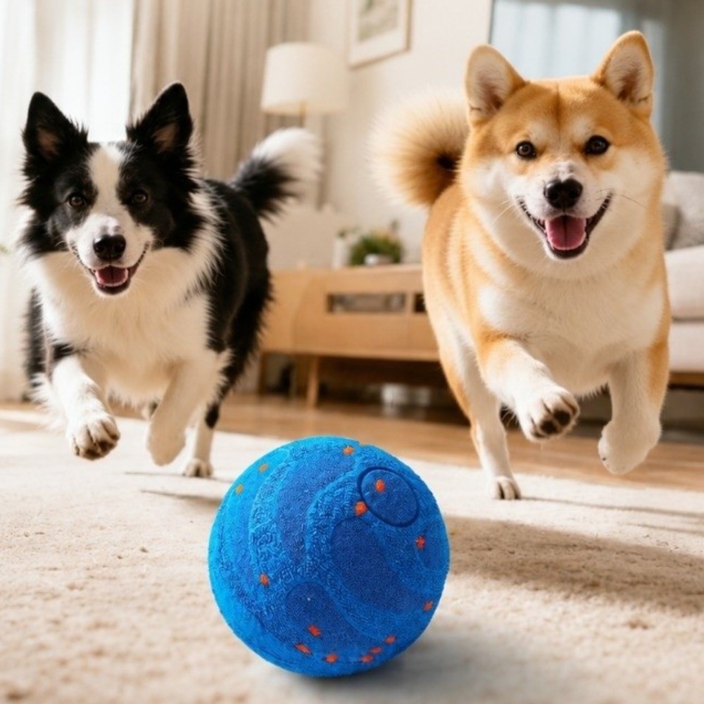 ลูกบอลอัจฉริยะสำหรับสัตว์เลี้ย - Automatic Moving Dog Ball บทวิจารณ์และราคา
