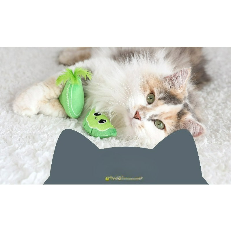 ของเล่นแมวแบบมีเสียงและสัมผัสไ - Catnip Interactive Plush Mouse บทวิจารณ์และราคา
