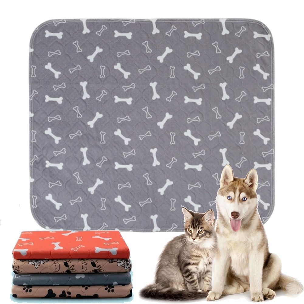 แผ่นรองนอนสำหรับสัตว์เลี้ยง ทน - Pet Beds บทวิจารณ์และราคา