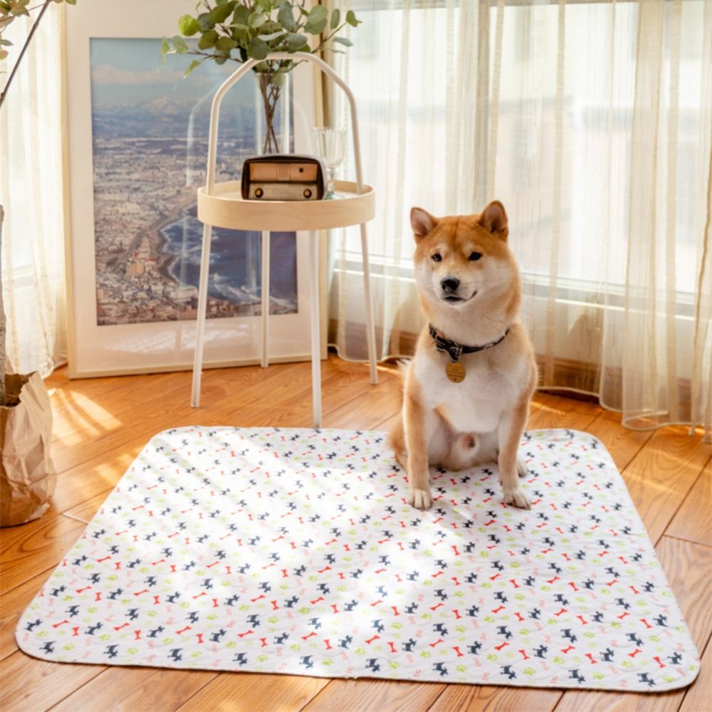แผ่นรองนอนสำหรับสัตว์เลี้ยง ทน - Pet Beds บทวิจารณ์และราคา