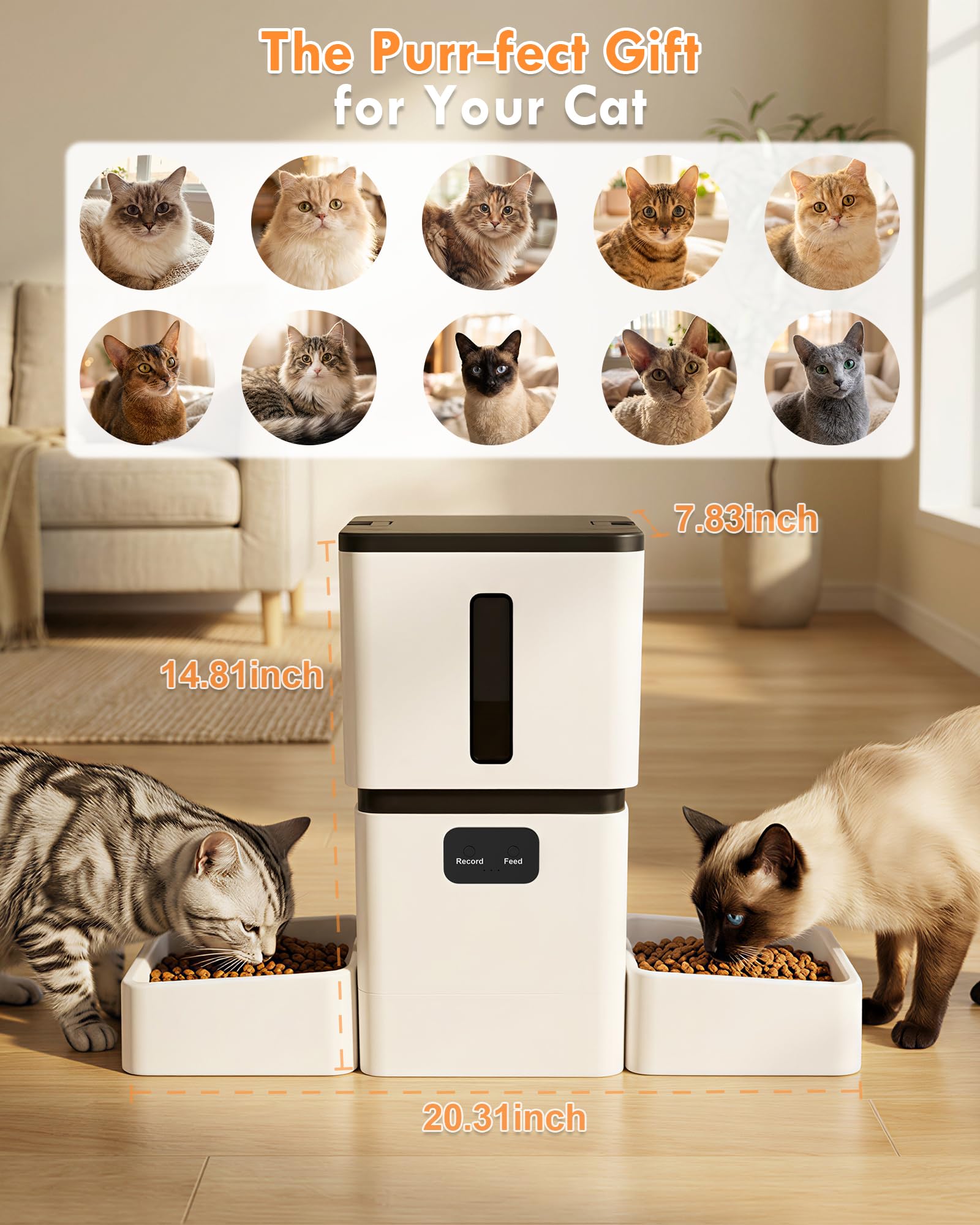 เครื่องให้อาหารสัตว์เลี้ยงอัตโ - Pet Feeders บทวิจารณ์และราคา