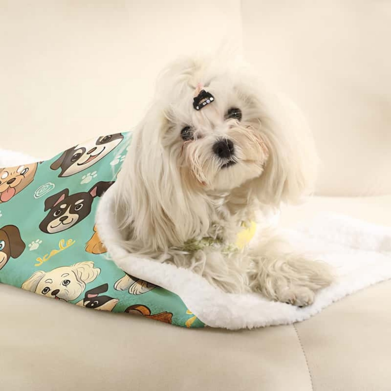 ผ้าห่มสัตว์เลี้ยงลายการ์ตูนสุน - Pet Beds บทวิจารณ์และราคา